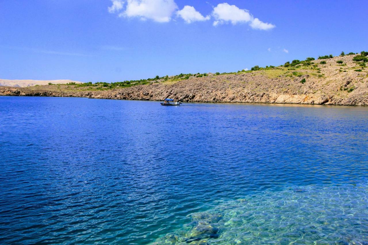 Villa Mihaela - Apartment Ika Cesarica Εξωτερικό φωτογραφία