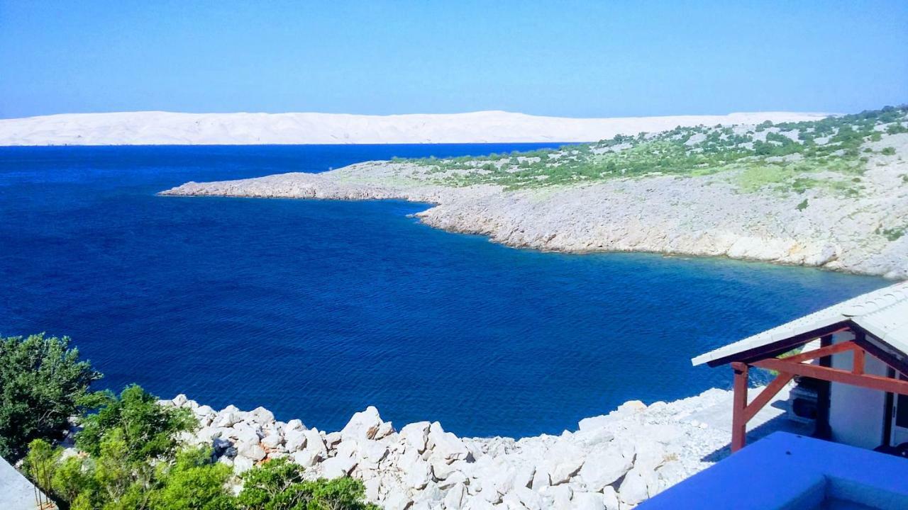 Villa Mihaela - Apartment Ika Cesarica Εξωτερικό φωτογραφία