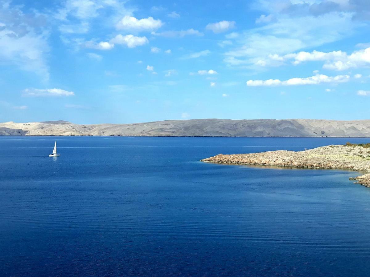 Villa Mihaela - Apartment Ika Cesarica Εξωτερικό φωτογραφία