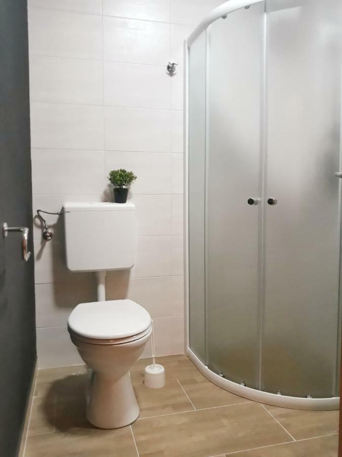 Villa Mihaela - Apartment Ika Cesarica Εξωτερικό φωτογραφία