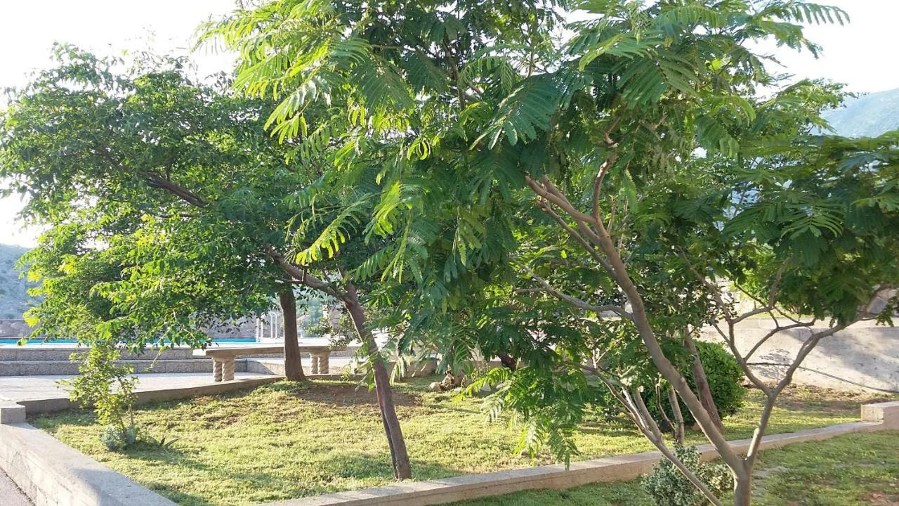 Villa Mihaela - Apartment Ika Cesarica Εξωτερικό φωτογραφία